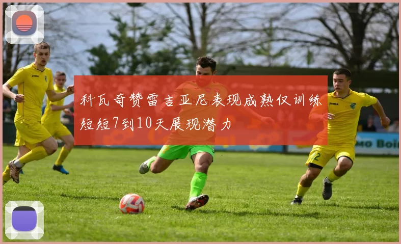 科瓦奇赞雷吉亚尼表现成熟仅训练短短7到10天展现潜力